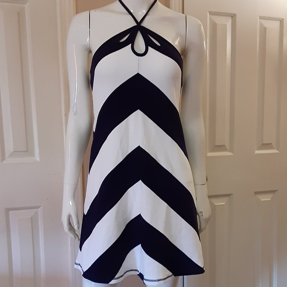 Saturday Sunday Black & White Striped Dress